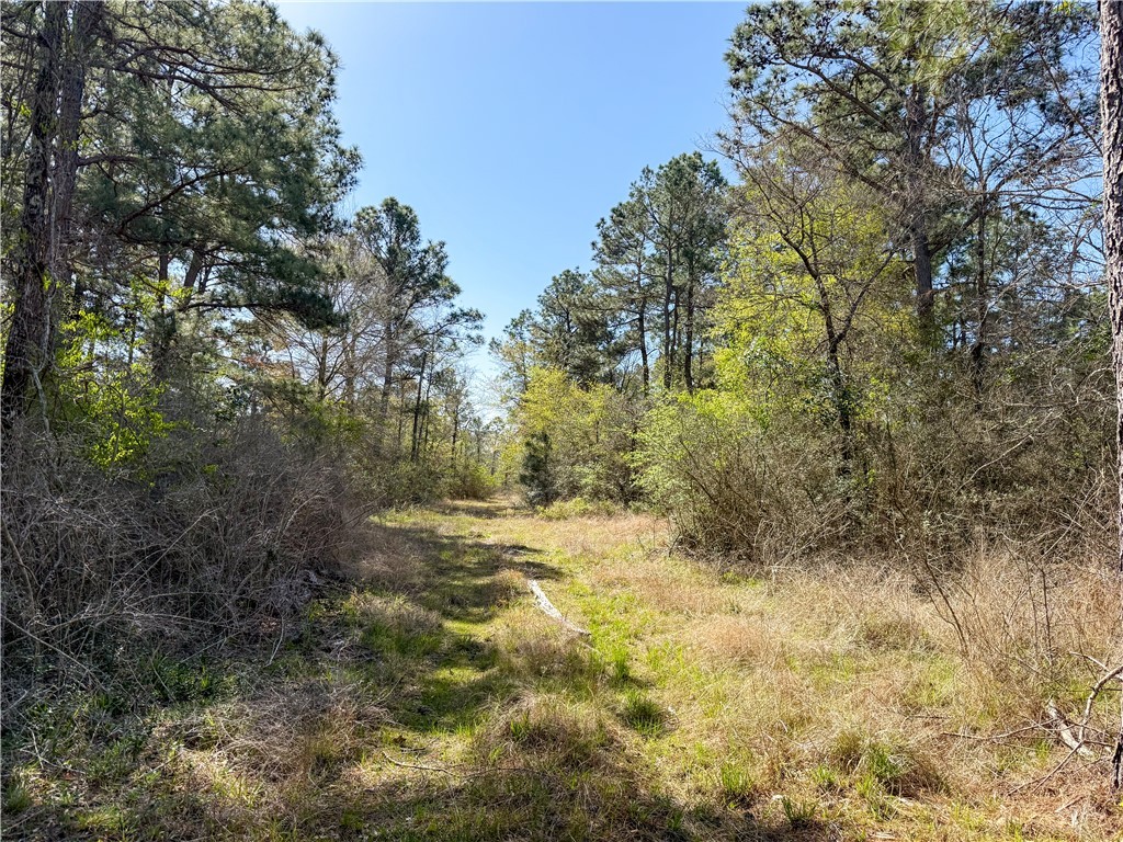 15.86 Acres Round Prairie Rd Property Photo 1