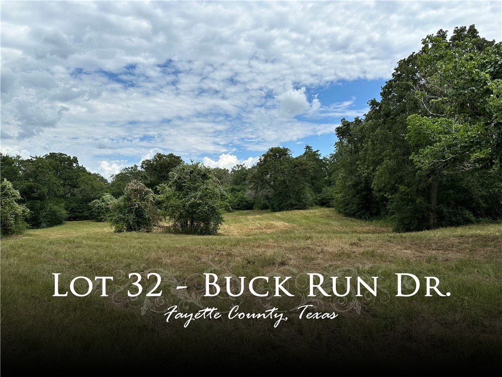 00 Buck Run Drive