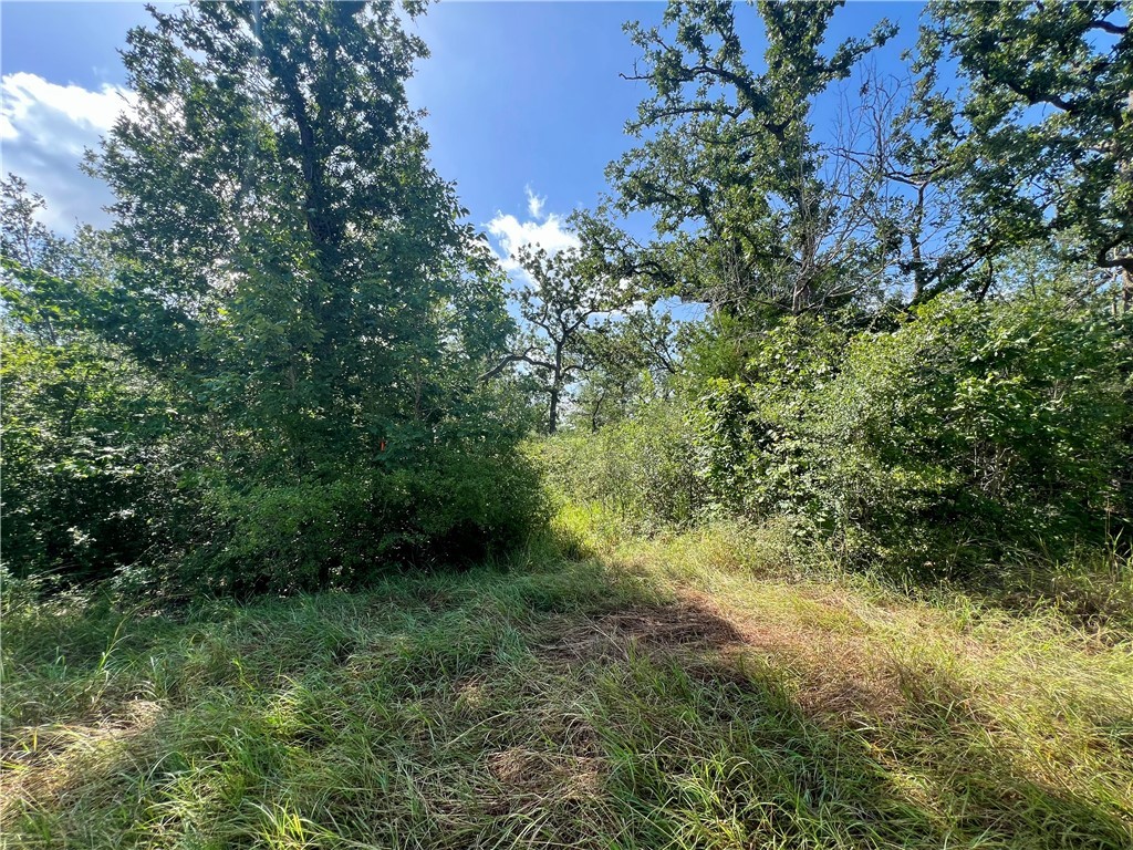 990 Big Berry Road Property Photo 1