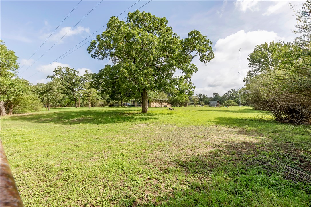 9121 Lightsey Lane Property Photo 13