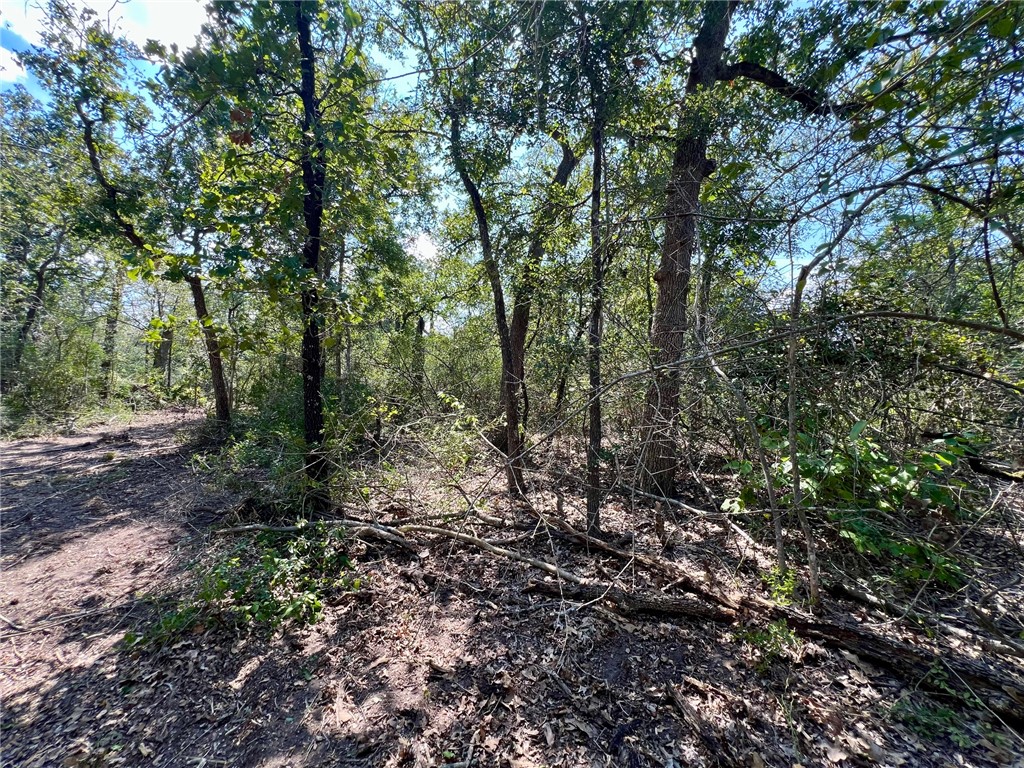 531 Moss Oak Drive Property Photo 3
