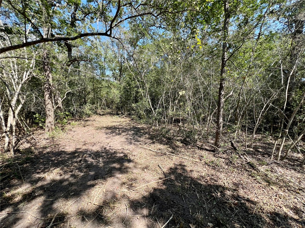 531 Moss Oak Drive Property Photo 4