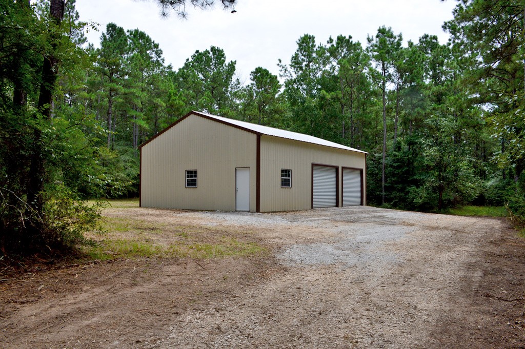 TBD Deep Forest Trail