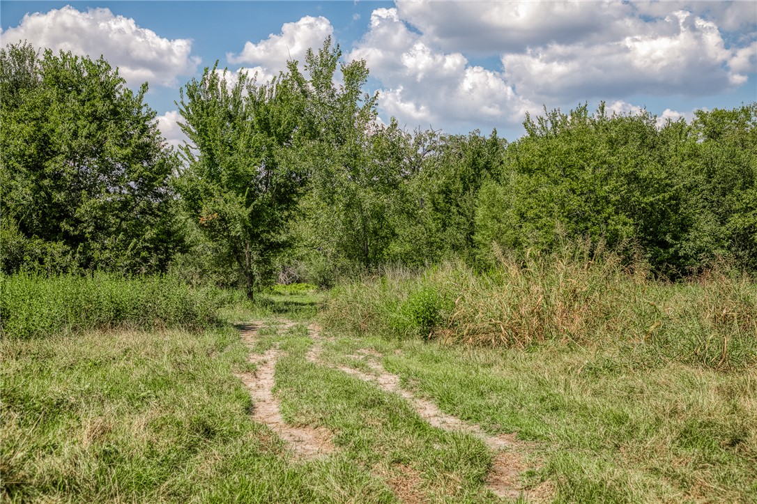3208 W State Highway 21 Property Photo 17