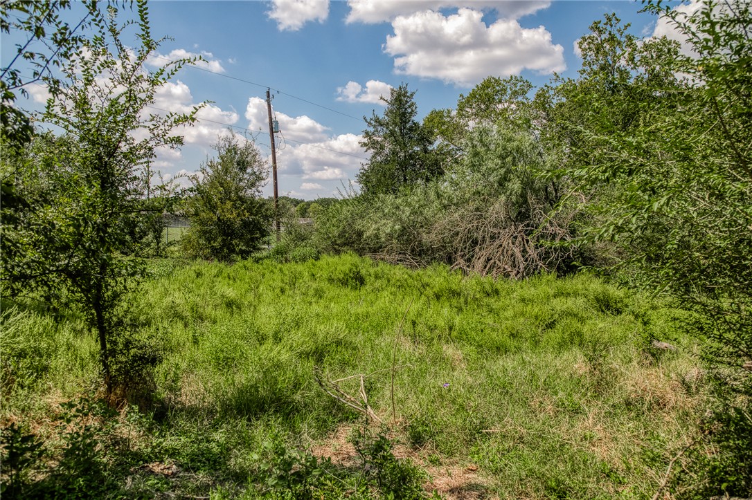 3208 W State Highway 21 Property Photo 19