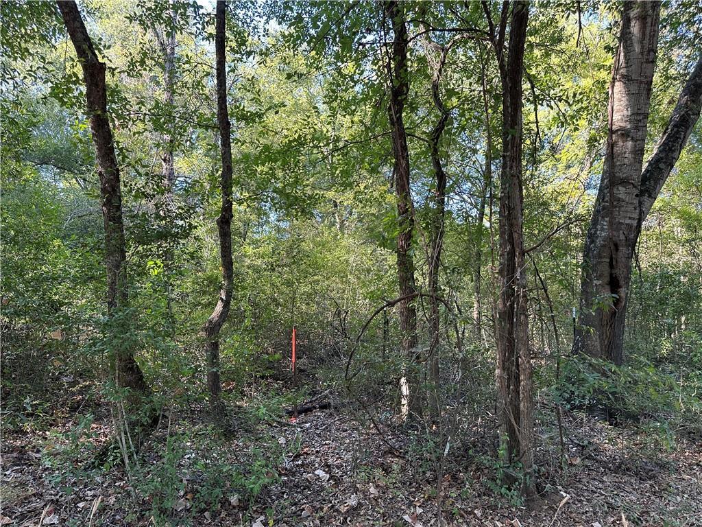T.b.d. Spur 935 Property Photo 1