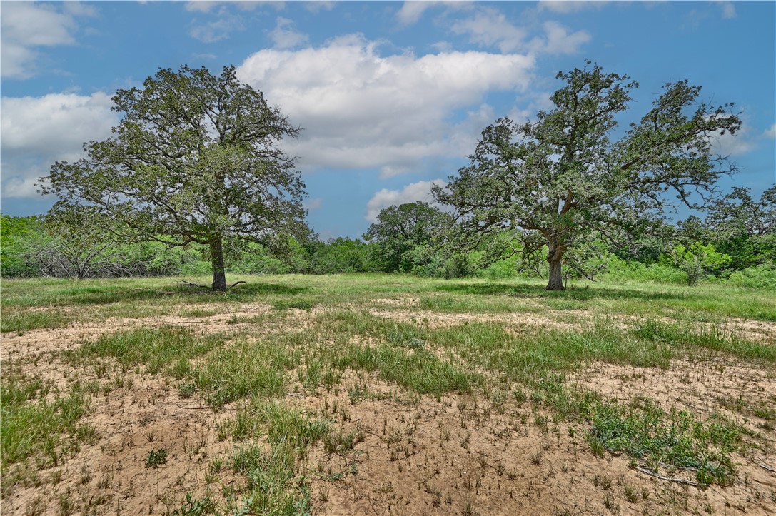 159 Starlight Path Property Photo 1