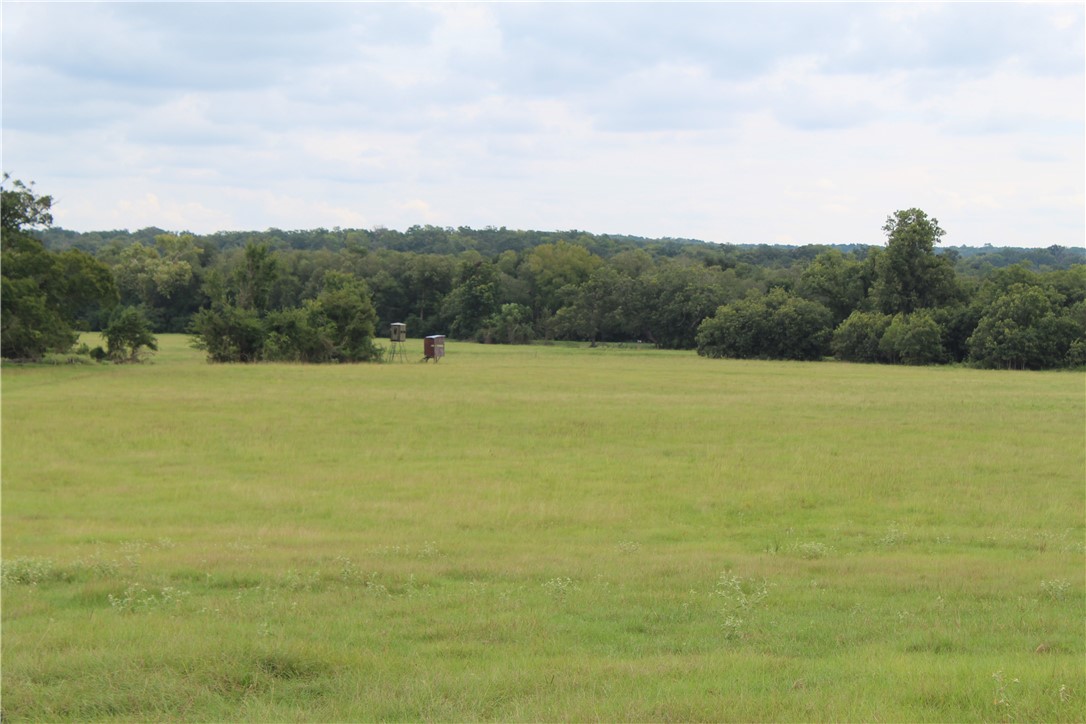 16601 County Road 467 Property Photo 10