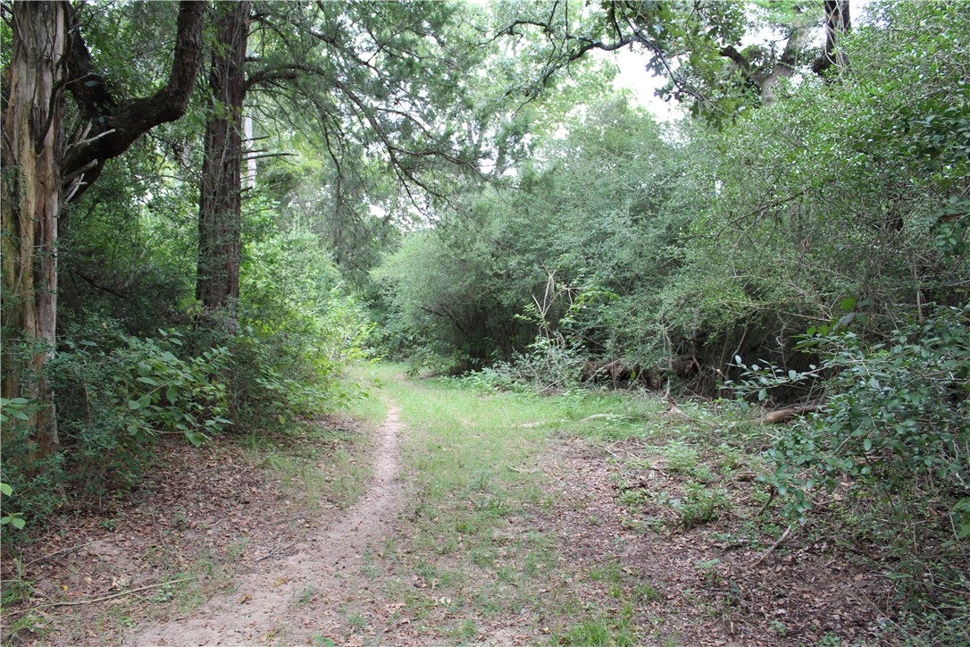 16601 County Road 467 Property Photo 13