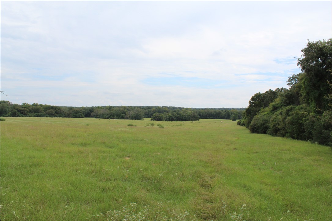 16601 County Road 467 Property Photo 16