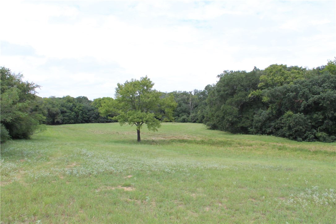 16601 County Road 467 Property Photo 17