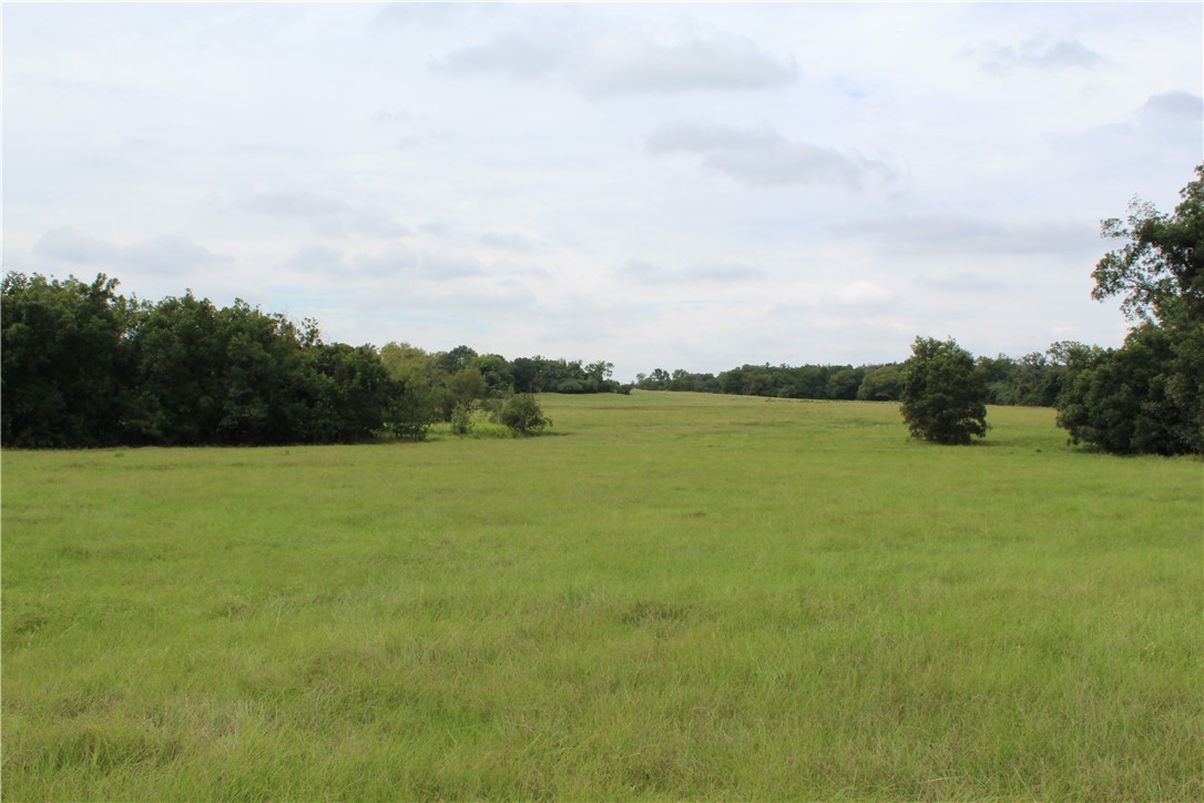 16601 County Road 467 Property Photo 20