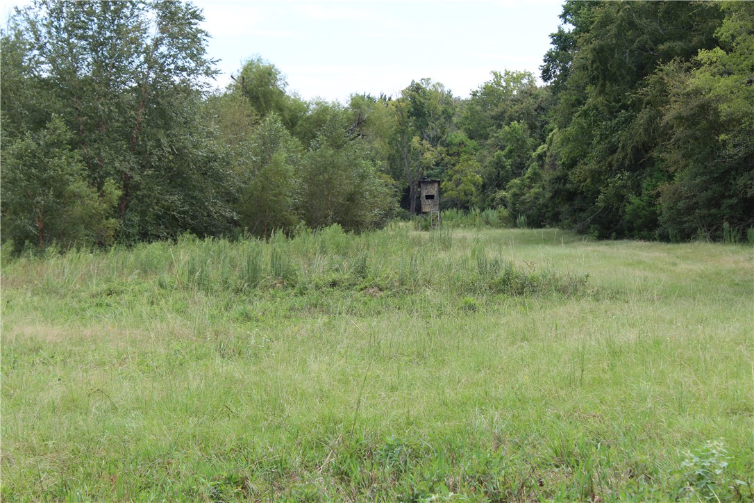 16601 County Road 467 Property Photo 21
