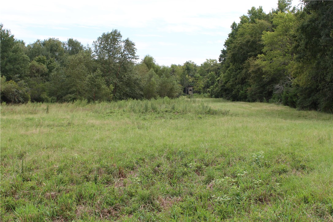 16601 County Road 467 Property Photo 22