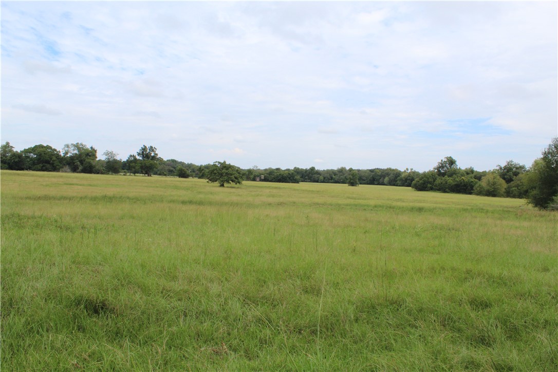16601 County Road 467 Property Photo 23