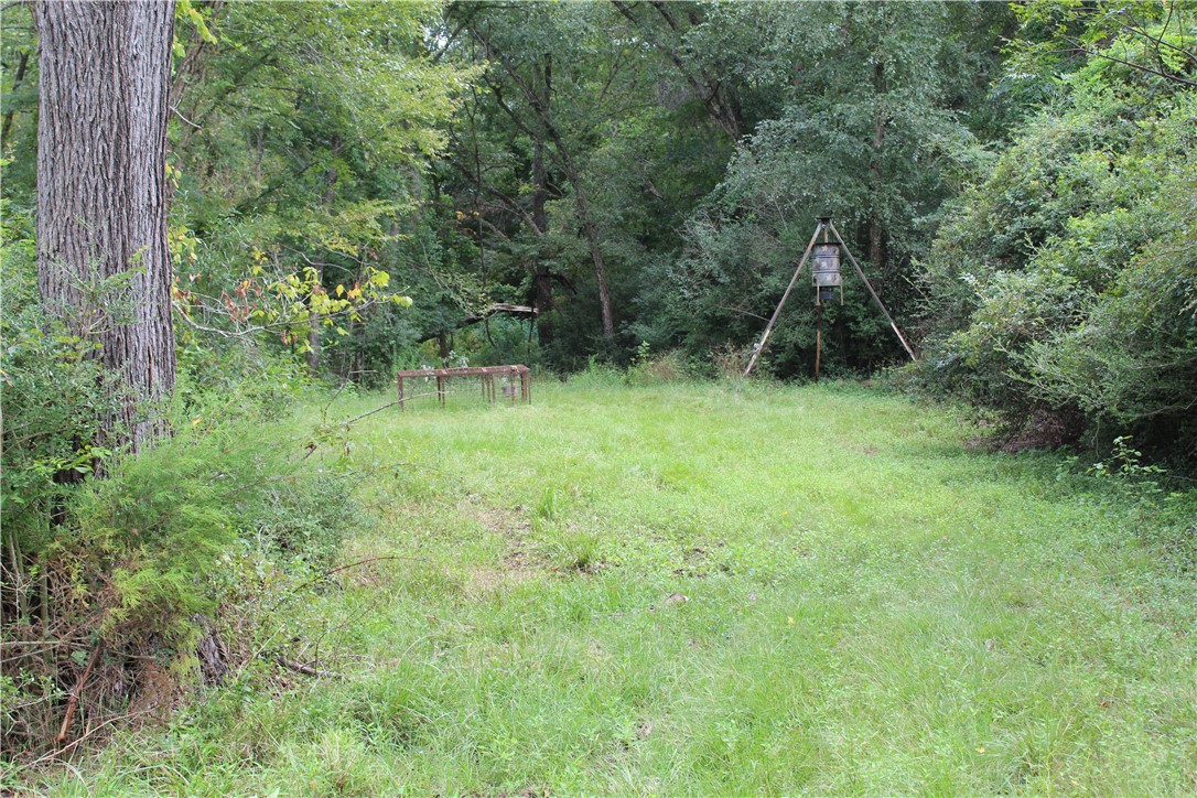 16601 County Road 467 Property Photo 24