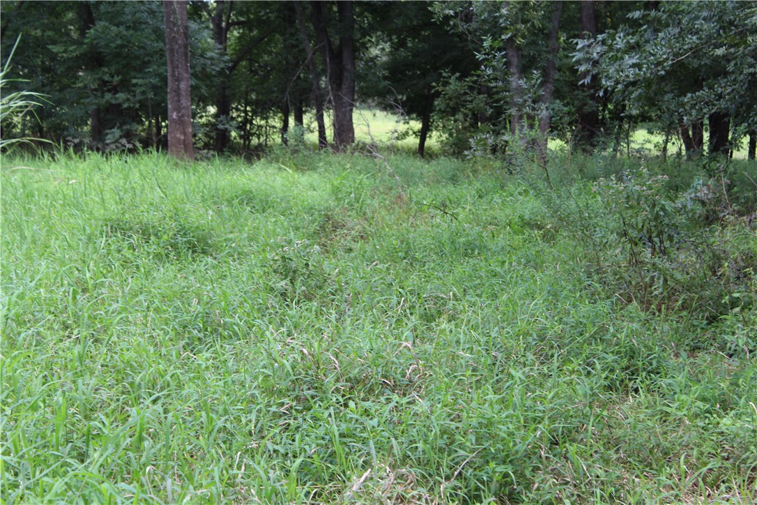 16601 County Road 467 Property Photo 25