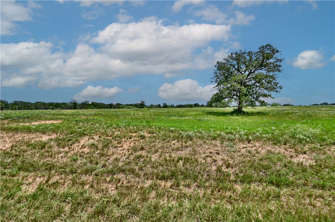 Tbd 1-13 (2.0 Acres) New Moon Property Photo 1