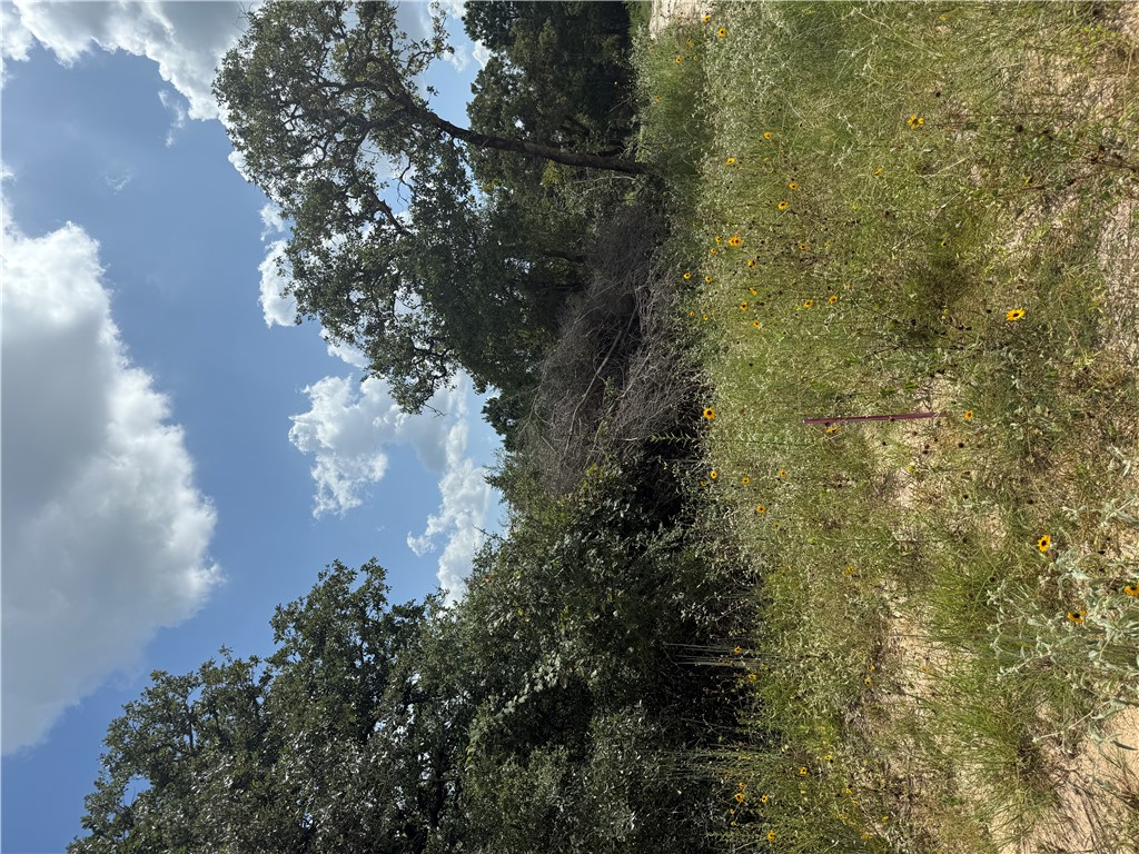 1163 Sugar Hill Property Photo 1
