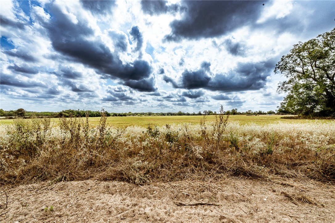 Lot 3 County Road 340 Property Photo 3