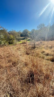 Tbd Birch Hill Lane Property Photo 5
