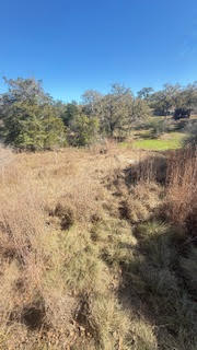 Tbd Birch Hill Lane Property Photo 6
