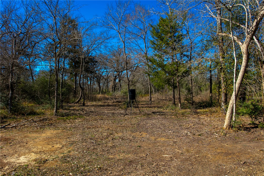 651 County Road 379 Property Photo 32