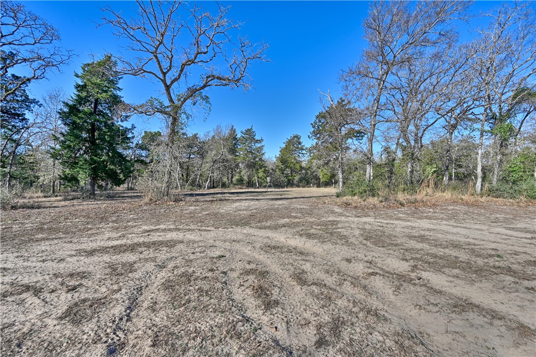 4797 Fm 979 E Property Photo 20