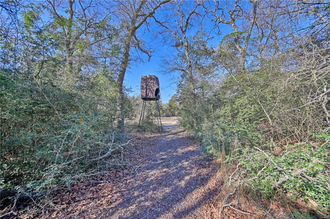 4797 Fm 979 E Property Photo 21