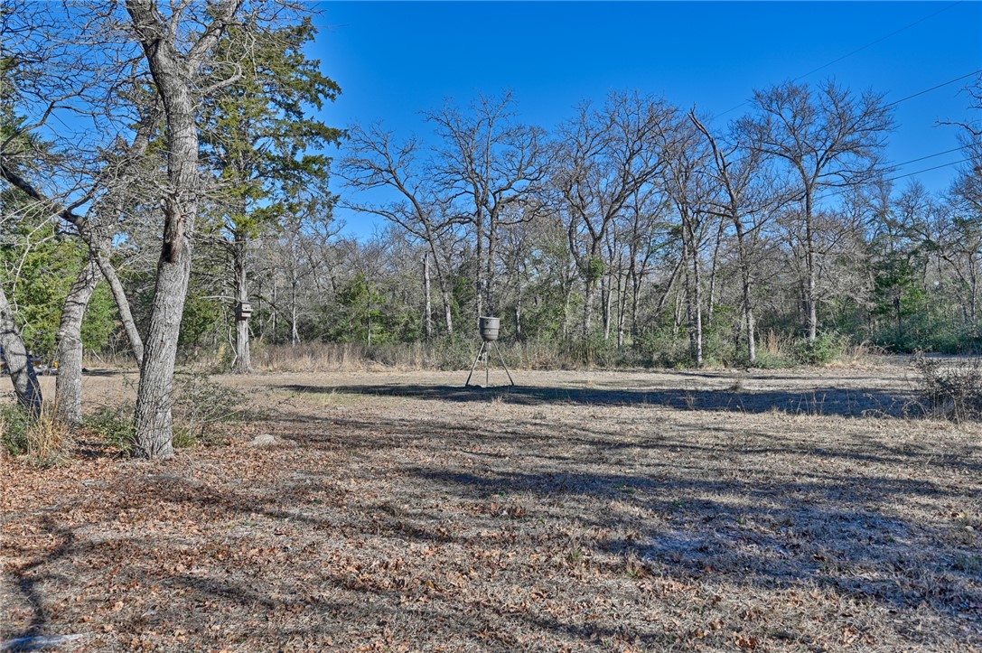 4797 Fm 979 E Property Photo 22