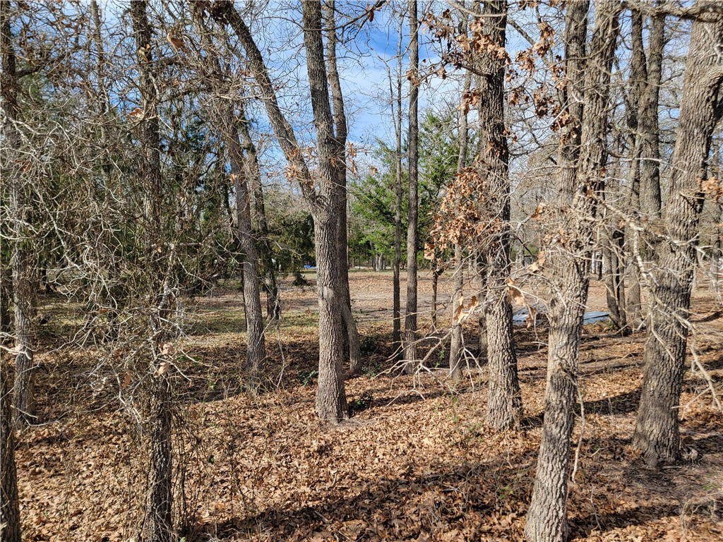 1337 Pin Tail Cove Property Photo 9
