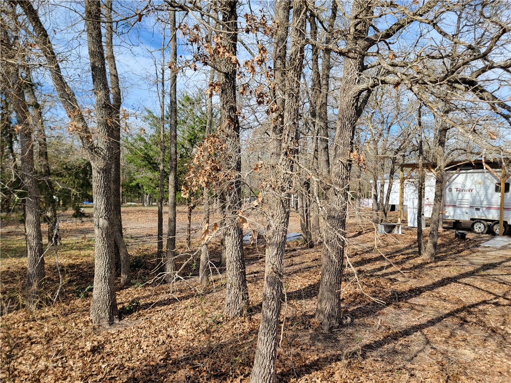 1337 Pin Tail Cove Property Photo 10