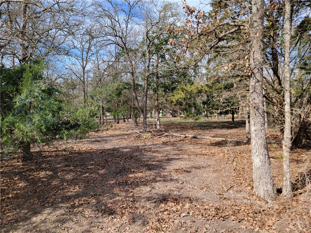 1337 Pin Tail Cove Property Photo 11