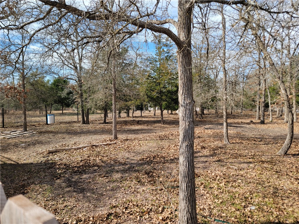 1337 Pin Tail Cove Property Photo 12