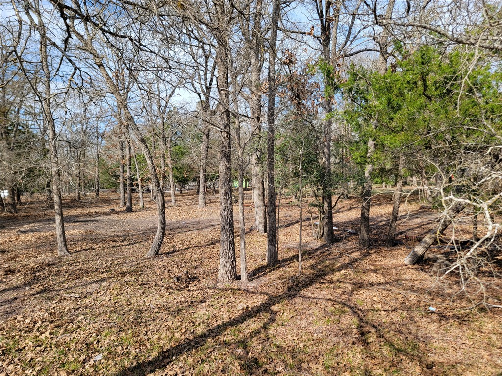1337 Pin Tail Cove Property Photo 13