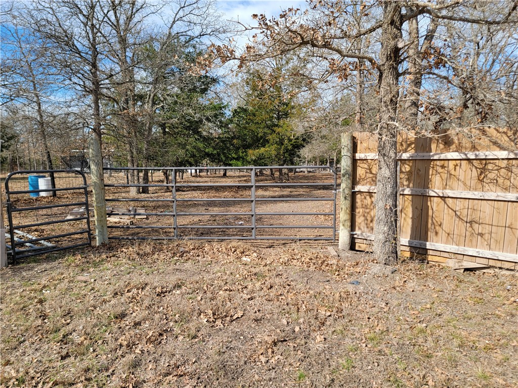 1337 Pin Tail Cove Property Photo 14