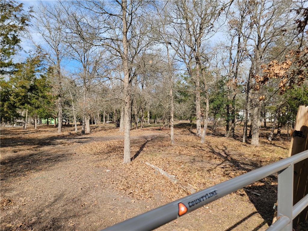 1337 Pin Tail Cove Property Photo 15