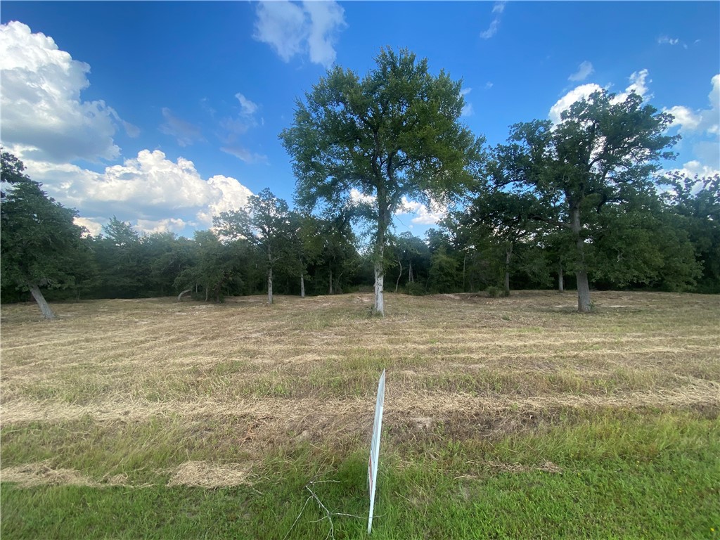 10144 Albert Drive Property Photo 1