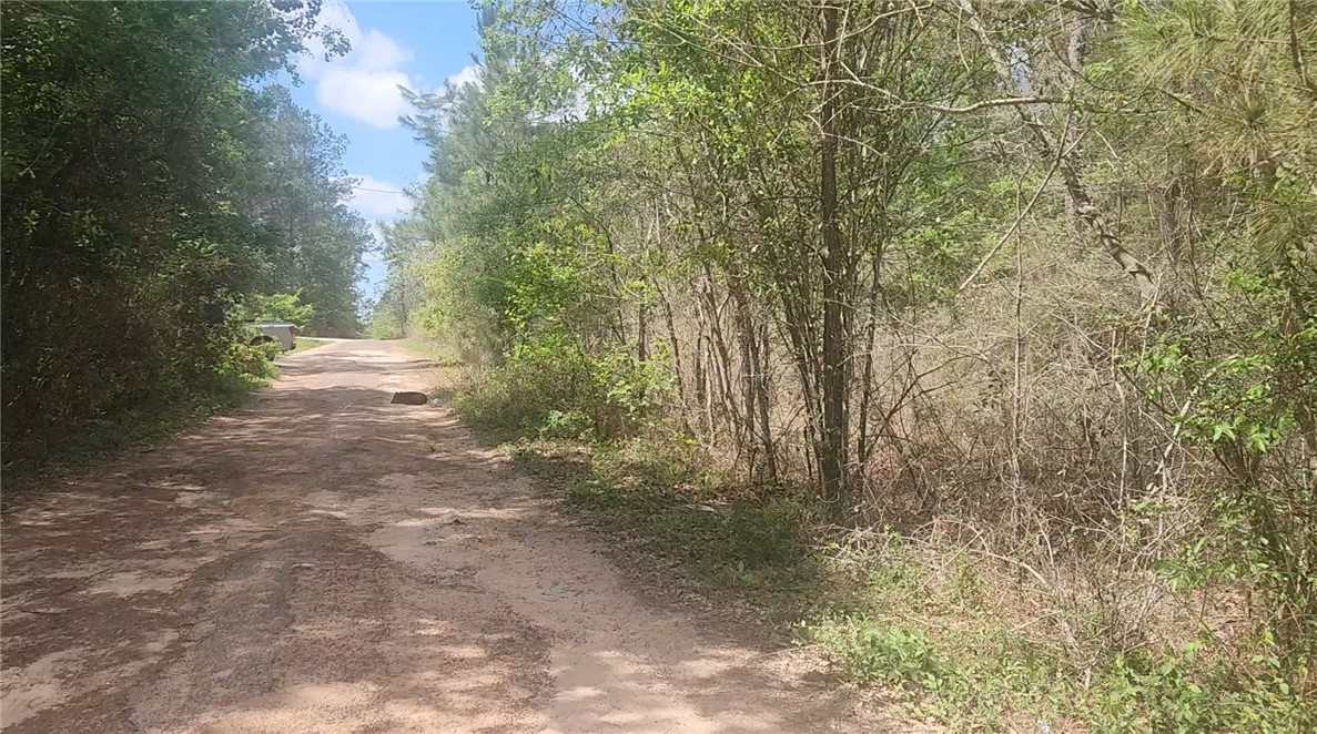Lot 8 Yupon Lane Property Photo 1