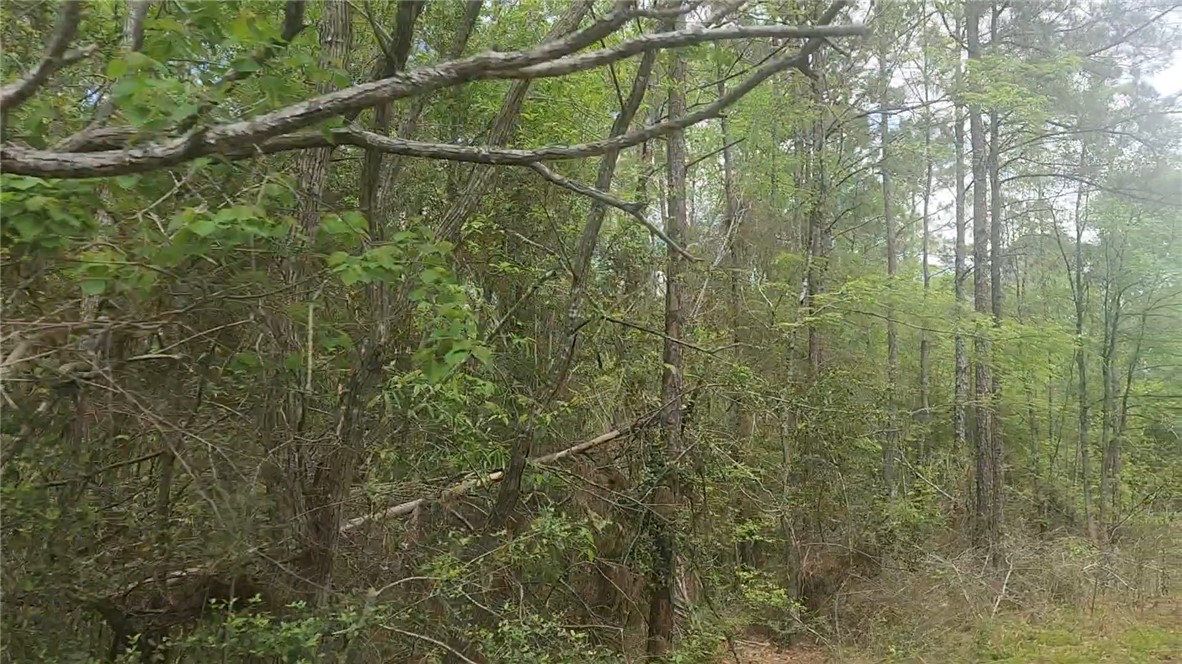 Lot 5 Pin Oak Drive Property Photo 1