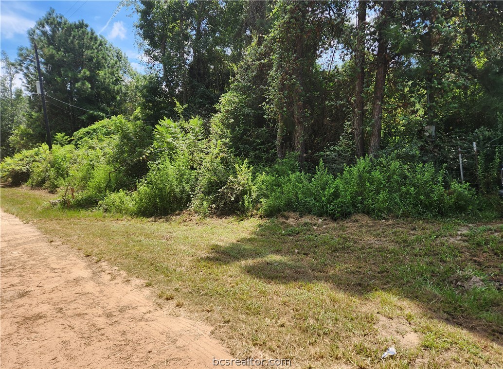Lot 26 Mayhaw Lane Property Photo 1