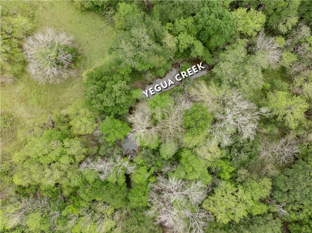 Tbd County Road 433 Property Photo 1