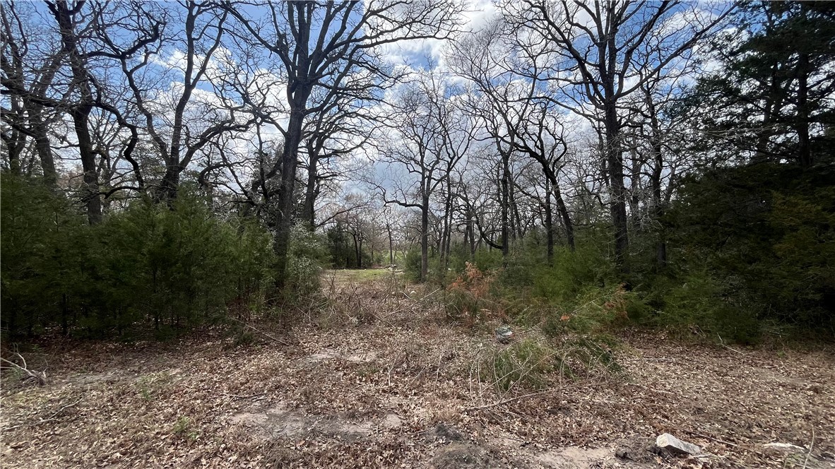 11566 Woodglen Circle Property Photo 1