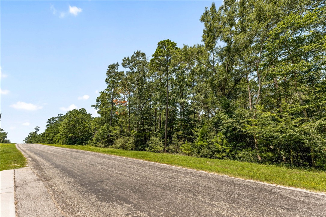 Lot 2 & 3 Remington Road Property Photo 1
