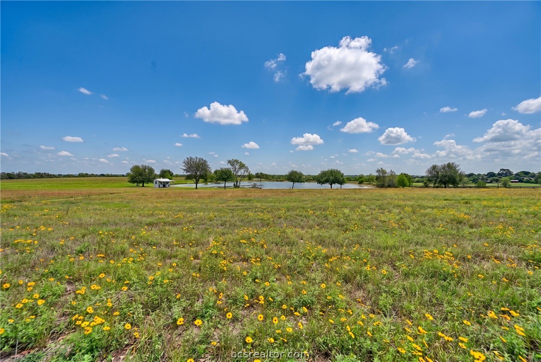 7872 North Fm 1371 Property Photo 30