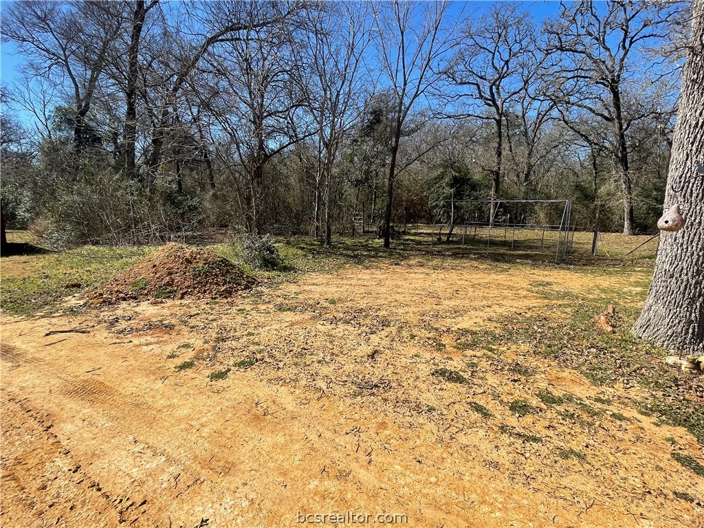 11320 Old Hearne Property Photo 16