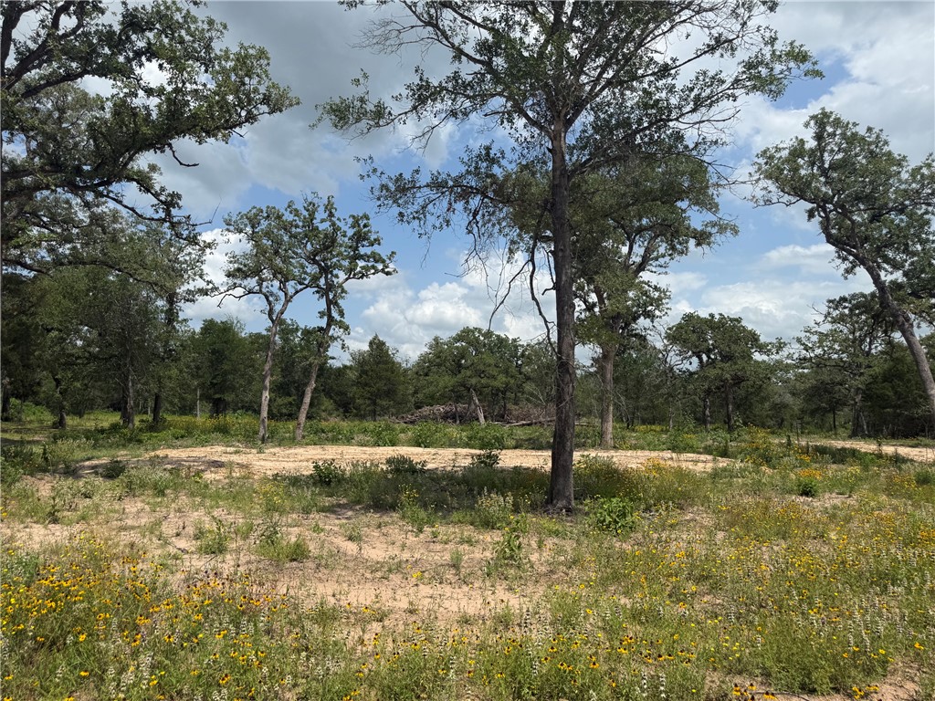 3309 Deer Ledge Property Photo 1