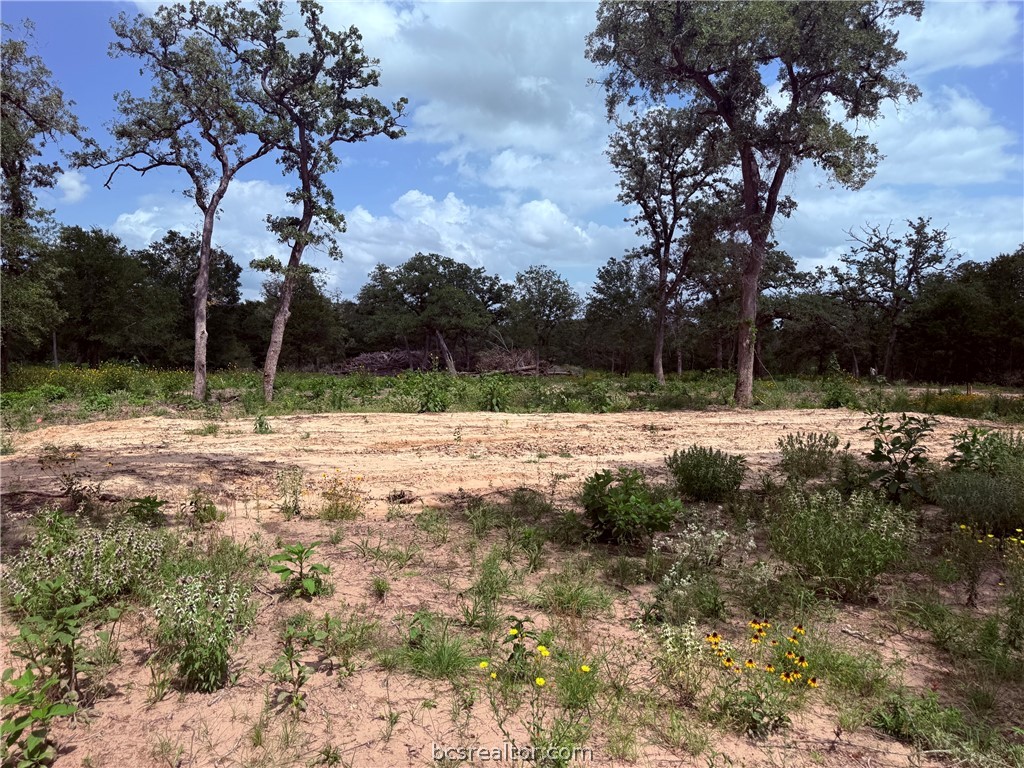 3327 Deer Ledge Property Photo 2