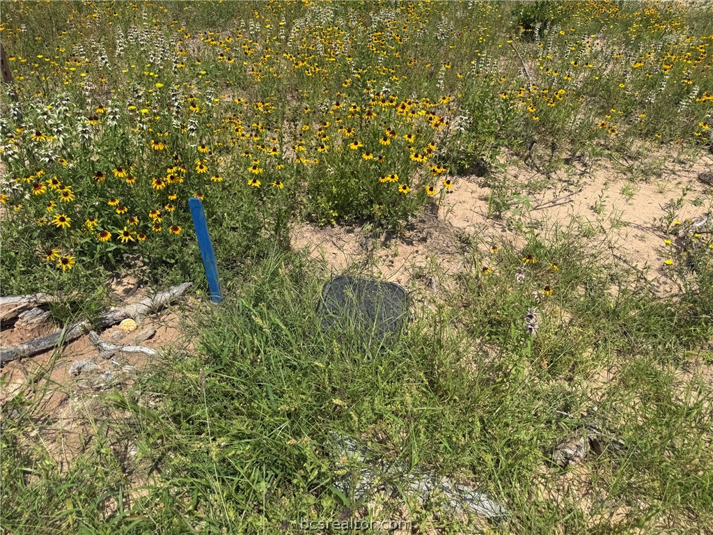 3327 Deer Ledge Property Photo 3