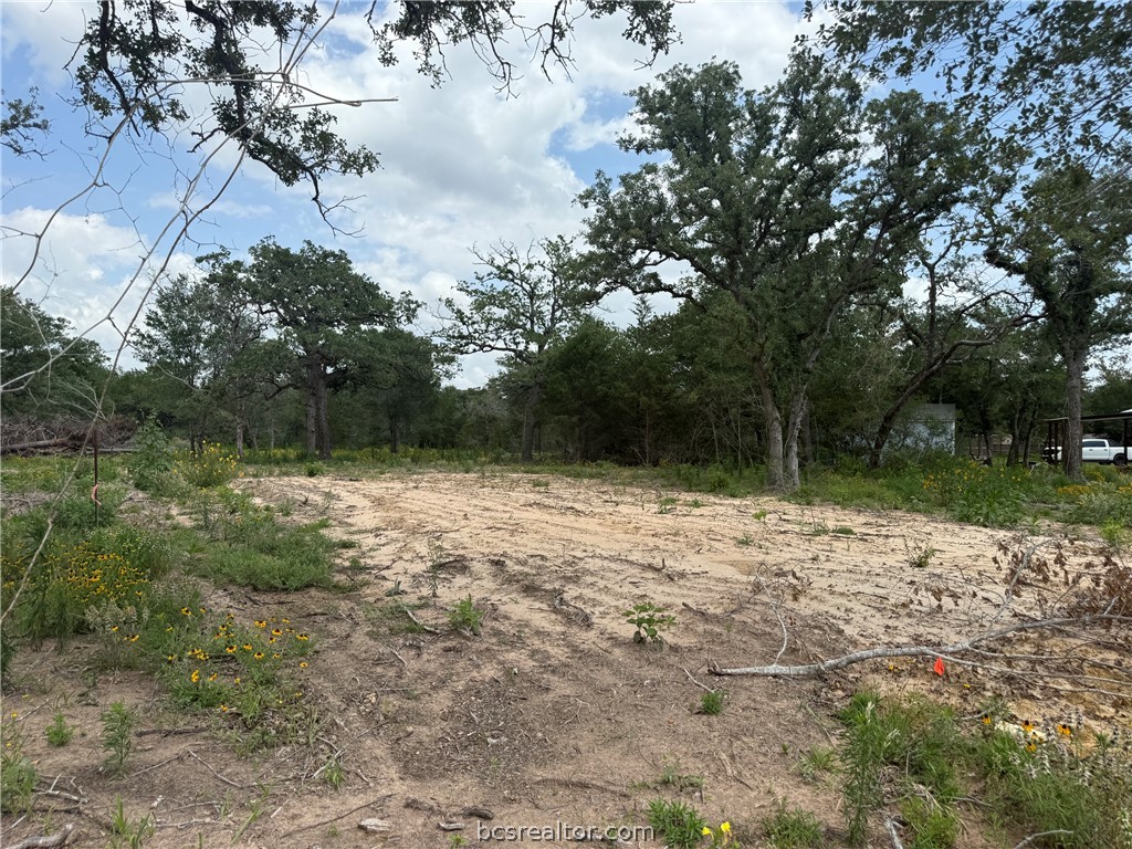 3327 Deer Ledge Property Photo 4